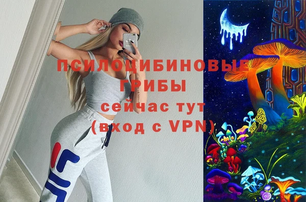 каннабис Арсеньев